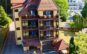 VILA URSU din SOVATA BAI -ALL INCLUSIVE-&SPA