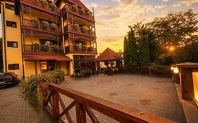VILA URSU din SOVATA BAI -ALL INCLUSIVE-&SPA